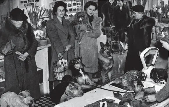  ??  ?? Lady’s best friend: Pet owners queue in a butcher’s shop for dog food. Below: Things are looking up in a Birmingham grocery