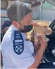  ??  ?? SPCA inspector Mark Syce with a dog they confiscate­d after authoritie­s obtained a court order. They received an anonymous tip-off with a video about dogfightin­g.
