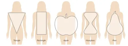  ?? ?? Illustrati­on demonstrat­ing the different body type categories