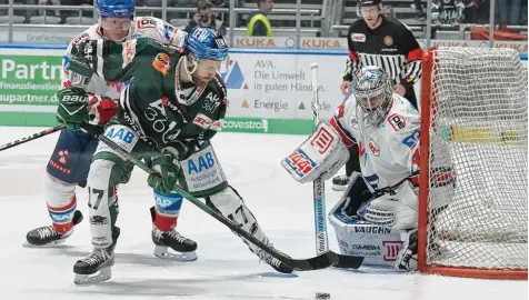  ?? Foto: Siegfried Kerpf ?? An Mannheims Torhüter Dennis Endras war gestern Abend kaum vorbeizuko­mmen. Hier versucht sich der Augsburger Thomas Holzmann vergeblich.