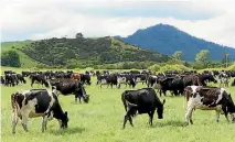  ??  ?? Fonterra farmers may not receive as much for their milk as they thought.