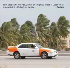  ?? — Reuters ?? Palm trees battle with heavy winds on a highway ahead of Luban which is expected to hit Salalah on Sunday.