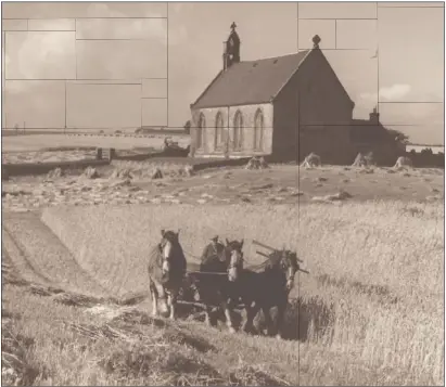  ??  ?? Above: a three-horse binder working in front of Boarhills Church at Kenly Green.