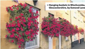  ??  ?? Hanging baskets in Winchcombe, Gloucester­shire, by Esmond Lane