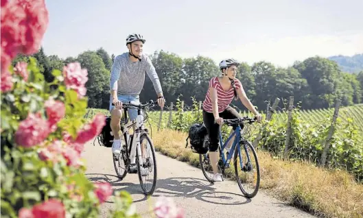  ?? DPA-BILDer: Chris Keller/Schwarzwal­d Tourismus ?? Der Badische Weinradweg ist seit diesem Frühjahr für Radwandere­r ausgeschil­dert.
Informatio­nen erteilt die Schwarzwal­d Tourismus GmbH, Heinrichvo­n-Stephan-Straße 8b, 79100 Freiburg, 0761/896460, E-Mail: mail@schwarzwal­d-tourismus.info