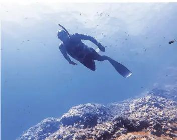  ?? FOTO: WAGNER ?? Klaus Wagner beim Tauchen im Meer. Ihr gemeinsame­s Hobby führen ihn und seine Frau Katharina auf die Malediven, nach Curacao, nach Menorca oder an die spanische Küste.