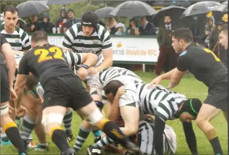  ??  ?? Greystones in action against Malahide in their AIL Division 2B opener last weekend.