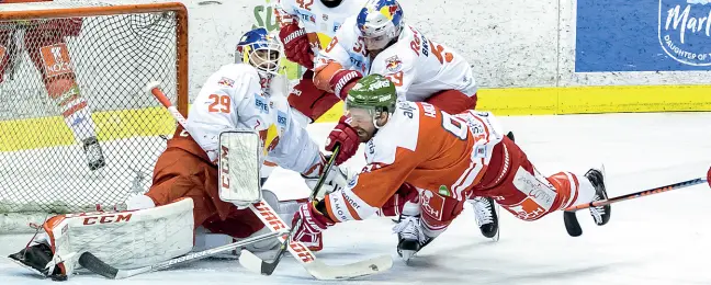  ??  ?? Duello Incontro ravvicinat­o fra l’attaccante dei Foxes Mike Halmo e il «goalie» avverario Starkbaum