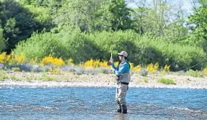  ?? Photograph by Paul Glendell ?? Fishing on the River Dee near Drumoak.