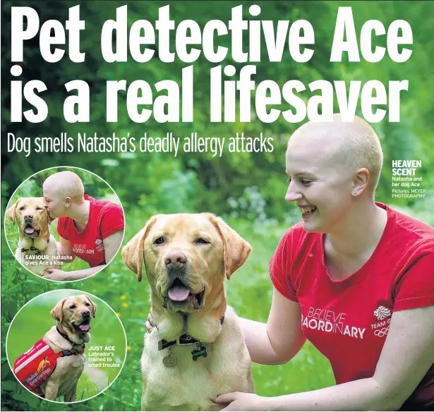  ?? Pictures: MEYER PHOTOGRAPH­Y ?? SAVIOUR Natasha gives Ace a kiss JUST ACE Labrador’s trained to smell trouble HEAVEN SCENT Natasha and her dog Ace