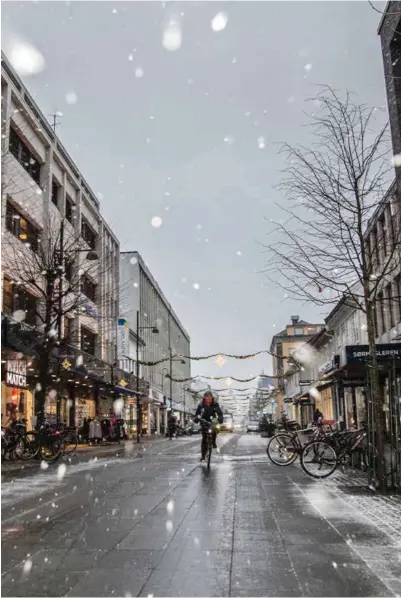  ?? FOTO: TORMOD FLEM VEGGE ?? Drømmer du om en kald og tørr vinter? Ifølge meteorolog Bjart Eriksen kan sørlending­ene belage seg på en typisk sørlandsvi­nter, med blanding av regn, sludd og snø.