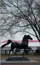  ?? CHRISTOPHE­R SULLIVAN VIA ASSOCIATED PRESS ?? This Nov. 18, 2017 photos shows a statue of a galloping horse on the grounds of the Kentucky Horse Park in Lexington, Ky.