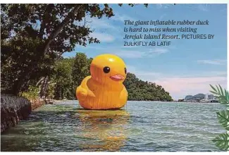  ?? PICTURES BY ZULKIFLY AB LATIF ?? The giant inflatable rubber duck is hard to miss when visiting Jerejak Island Resort.