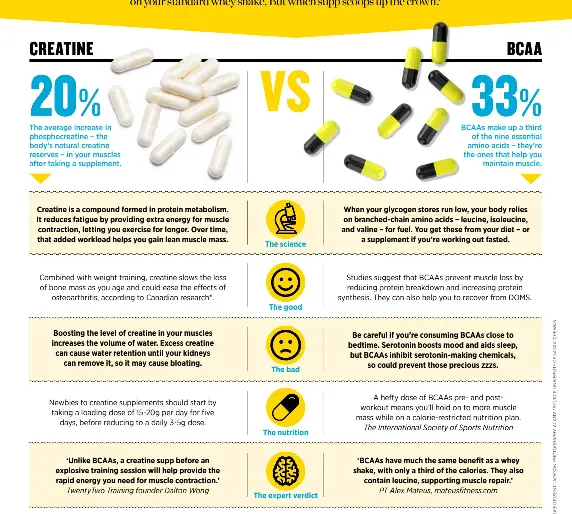 bcaa vs creatine