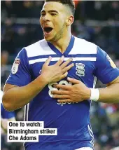  ??  ?? One to watch: Birmingham striker Che Adams