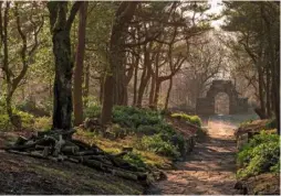  ??  ?? Another archway on a flagstone path lit by the sun filtering through skeletal branches (top left).