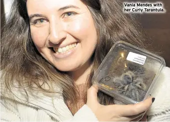  ??  ?? Vania Mendes with her Curly Tarantula.