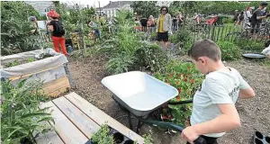  ?? | PHOTO : MARC ROGER ?? Les habitants sont invités à participer à la culture et à l’entretien des jardins solidaires.