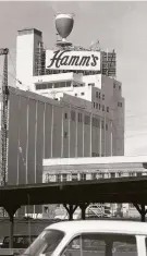  ?? Bob Campbell / The Chronicle 1954 ?? The Hamm’s Brewery beer chalice filled and refilled endlessly for decades, as shown June 24, 1954.