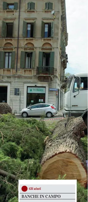  ??  ?? Colossi a terra
Il vento ha abbattuto alberi alti decine di metri, che si sono abbattuti sulle strade, sulle auto in sosta, sulle abitazioni, provocando danni ingenti e il blocco della viabilità