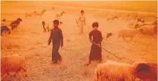  ?? AFP VIA GETTY IMAGES ?? Bedouin shepherds watch their grazing flock in the al-Henniyah area of Iraq during a sandstorm sweeping the country.