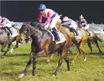  ??  ?? HISTORY BID. Marinaresc­o will be trying to become only the second horse to win the Champions Cup two years in a row at Greyville on Saturday 29 July.