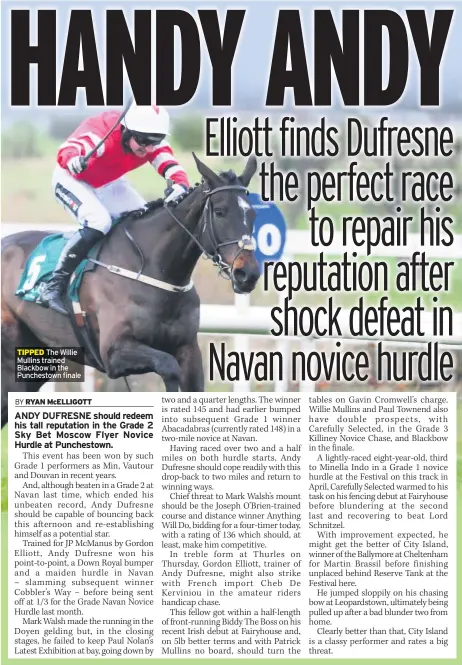  ??  ?? TIPPED The Willie Mullins trained Blackbow in the Punchestow­n finale