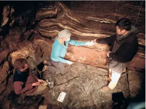  ?? ?? COLLECTING SEDIMENT SAMPLES at the Denisova Cave in the Altai Mountains, Siberia, a June 2021 picture. Pääbo and his team carried out DNA analysis of small bones discovered in this cave and found that they belonged to a different species, later called Denisovan.