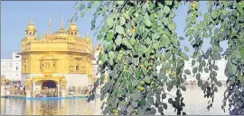  ?? SAMEER SEHGAL/HT ?? The ‘Dukh Bhanjani Beri’ at the Golden Temple in Amritsar is at least 400yearold.