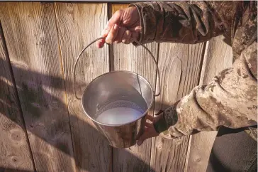  ?? ?? Amanda Brown holds a pail full of raw goat milk.