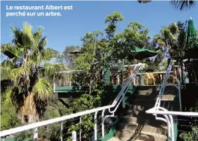  ??  ?? Le restaurant Albert est perché sur un arbre.