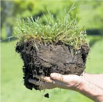  ?? Photo / NZME ?? Regenerati­ve agricultur­e and organics focus on the soil and the billions of living organisms that live in just one teaspoon of it. They are about feeding the soil biome rather than simplistic chemical inputs.