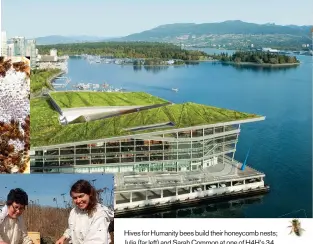  ??  ?? Hives for Humanity bees build their honeycomb nests; Julia (far left) and Sarah Common at one of H4H’s 34 Vancouver sites; the Vancouver Convention Centre’s 2.4-hectare green roof includes an apiary that can house up to 60,000 bees.