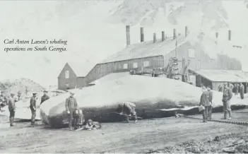  ??  ?? Carl Anton Larsen’s whaling operations on South Georgia.