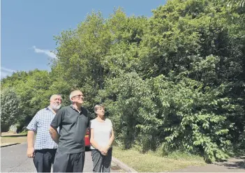  ??  ?? Werrington councillor­s John and Judy Fox and Stephen Lane examining problem trees