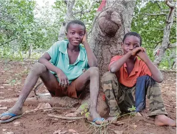  ?? Fotos (2): Winfried Züfle ?? Auch sie sollen eine Zukunft in Afrika haben: die Buben, die in Ghana unter einem Cashew Baum sitzen. Bauern, die Cashewnüss­e produziere­n, haben oft ein höheres Einkommen und können ihre Kinder zur Schule schicken.