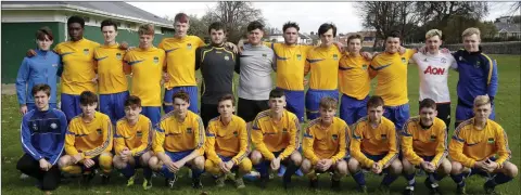  ??  ?? The Wicklow U-18 squad who will line out in their FAI Youth Interleagu­e opener this weekend.