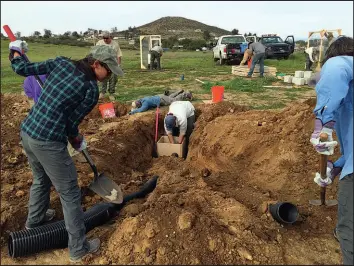  ?? MICHAEL STEVENS VIA THE NEW YORK TIMES ?? Researcher­s install artificial owl burrows at the Mcelhinney-stimmel Conservati­on Area in Riverside County, Calif. The habitats of the western burrowing owl, seen at right, are being encroached on in places like Southern California.