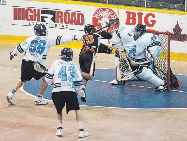  ?? JULIE JOCSAK
THE ST. CATHARINES STANDARD ?? St. Catharines goaltender Nick Damude (39) under pressure from Six Nations in Jr. A lacrosse playoff action Wednesday night at Jack Gatecliff Arena in St. Catharines.