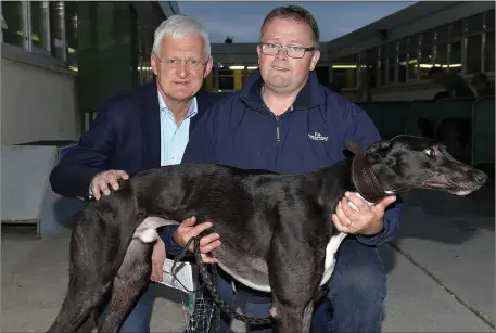  ?? Photo by www.deniswalsh­photograph­y.com ?? Owner Des Grace with Trainer Owen McKenna with Dumas after winning Round 2 Heat 2 of the Kerry Group Hospital Sweepstake at the Kingdom Stadium on Friday night.