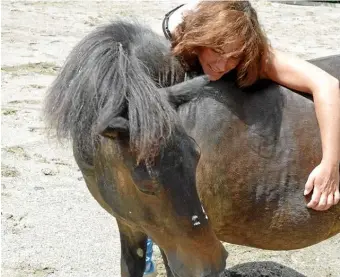  ??  ?? Virginie Tournois avec Sésame, l’un de ses poneys.