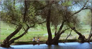  ?? FRANKIE FROST — MARIN INDEPENDEN­T JOURNAL FILE ?? The lake at the Marin French Cheese Co. makes a beautiful backdrop for picnics at the creamery.