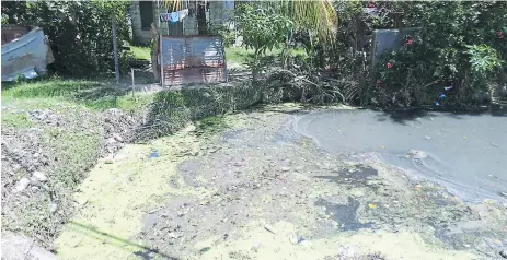  ??  ?? LAGUNA. La contaminac­ión que provocan las aguas residuales preocupa a los vecinos de dos colonias.