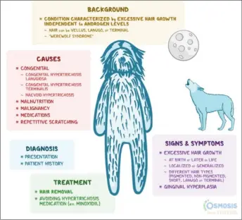  ?? — Graphic courtesy of Osmosis from Elsevier ?? Osmosis, a medical education company, uses a drawing to explain the causes, diagnosis, treatment, signs and symptoms of Werewolf Syndrome.