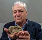  ??  ?? National Centre for the Study of Truffles’s President Antonio De Giacomi poses with a white truffle in the Morra Truffles Shop in Alba, near Turin, northweste­rn Italy. — AFP photos