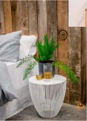  ??  ?? Choose a plant with textural foliage to make a statement. In this bedroom, the soft, fluffy fronds of an asparagus fern
(Asparagus aethiopicu­s) contrast with the roughsawn timber feature wall. This plant grows best in bright, indirect light and enjoys...