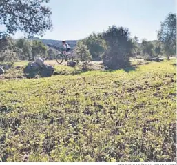  ?? REPORTAJE GRÁFICO: JAVIER FLORES ?? Ciclista pasa junto a un campo lleno de flores silvestres