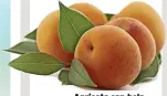  ?? ?? Apricots can help