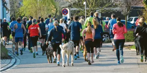  ?? Foto: Günther Herdin ?? Der Halbmarath­on am kommenden Sonntag in Altenmünst­er ist ein beliebtes Lauf-Event in der Region – bei Männern, Frauen und Hunden.