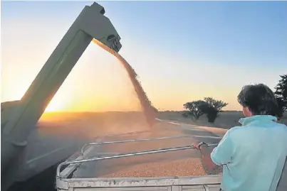  ?? BLOOMBERG ?? Más allá del lote. Los productore­s están ante el desafío de disminuir riesgos y trascender las fronteras de sus campos.